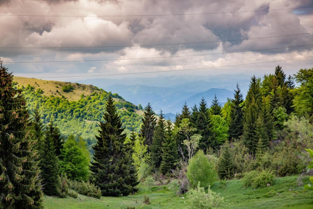Apartments View Dvori E25 Kopaonik Exterior foto